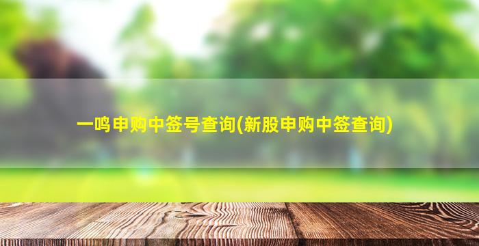 一鸣申购中签号查询(新股申购中签查询)-图1