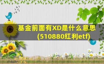 基金前面有XD是什么意思(510880红利etf)-图1