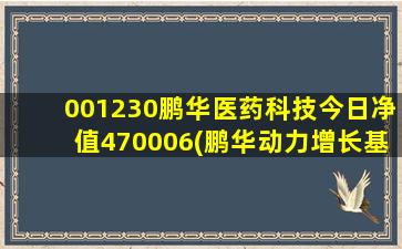 001230鹏华医药科技今日净值470006(鹏华动力增长基金净值)-图1