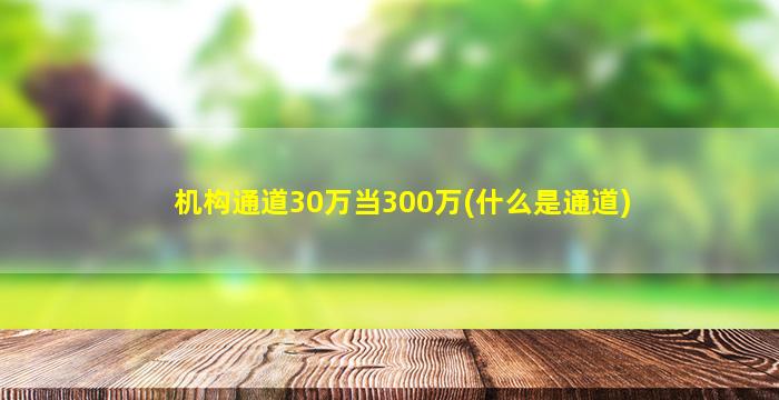 机构通道30万当300万(什么是通道)-图1