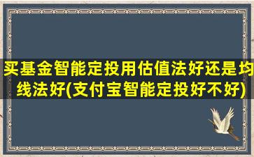 买基金智能定投用估值法好还是均线法好(支付宝智能定投好不好)-图1