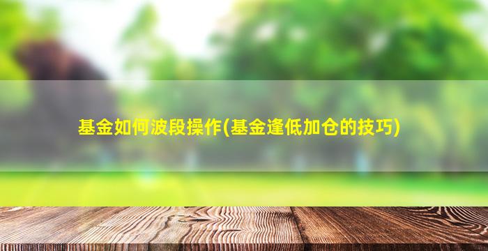 基金如何波段操作(基金逢低加仓的技巧)-图1