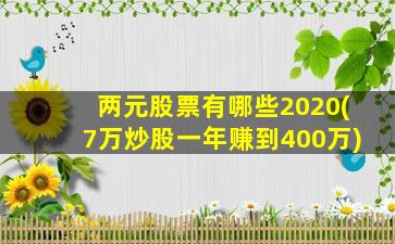 两元股票有哪些2020(7万炒股一年赚到400万)-图1