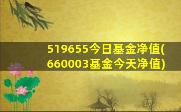 519655今日基金净值(660003基金今天净值)-图1