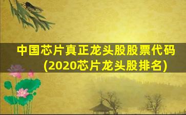 中国芯片真正龙头股股票代码(2020芯片龙头股排名)-图1