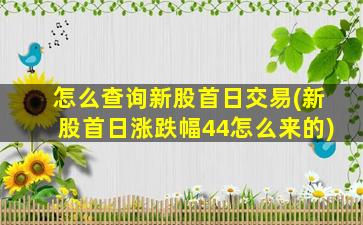 怎么查询新股首日交易(新股首日涨跌幅44怎么来的)-图1