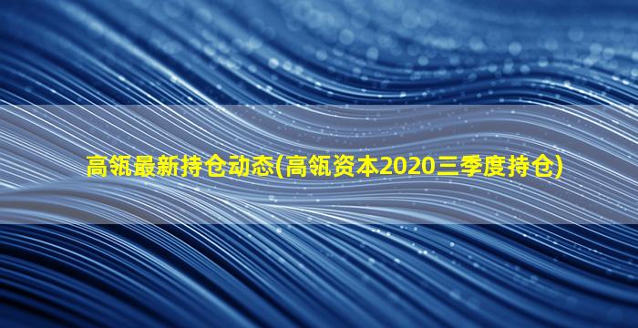 高瓴最新持仓动态(高瓴资本2020三季度持仓)-图1