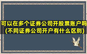 可以在多个证券公司开股票账户吗(不同证券公司开户有什么区别)-图1