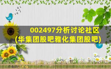 002497分析讨论社区(华集团股吧雅化集团股吧)-图1