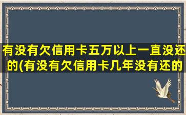 有没有欠信用卡五万以上一直没还的(有没有欠信用卡几年没有还的)-图1