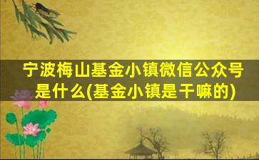 宁波梅山基金小镇微信公众号是什么(基金小镇是干嘛的)-图1