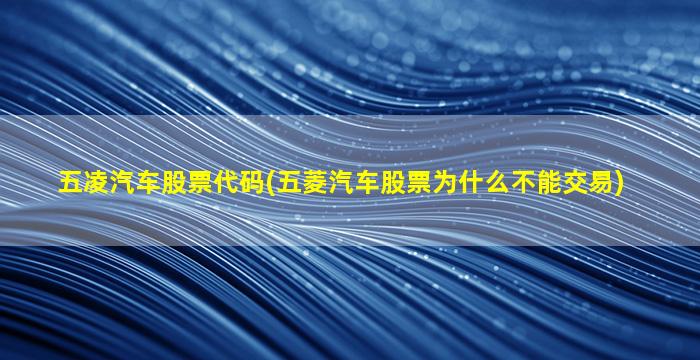 五凌汽车股票代码(五菱汽车股票为什么不能交易)-图1