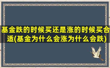 基金跌的时候买还是涨的时候买合适(基金为什么会涨为什么会跌)-图1