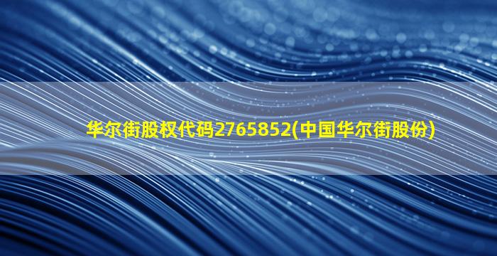 华尔街股权代码2765852(中国华尔街股份)-图1