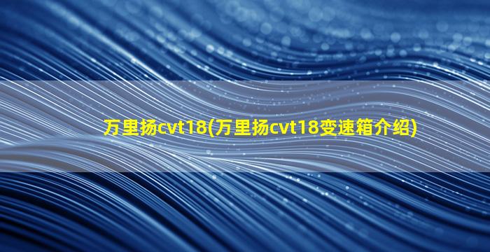 万里扬cvt18(万里扬cvt18变速箱介绍)-图1