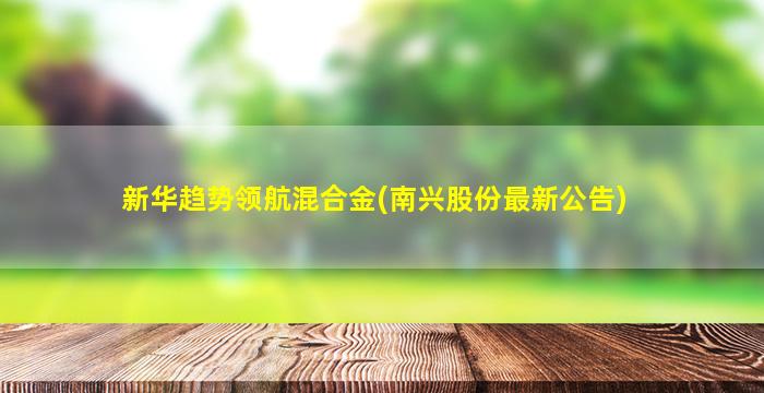 新华趋势领航混合金(南兴股份最新公告)-图1