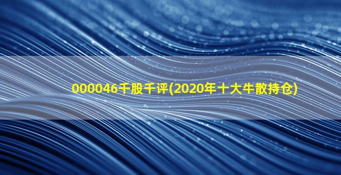 000046千股千评(2020年十大牛散持仓)-图1