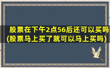 股票在下午2点56后还可以买吗(股票马上买了就可以马上买吗)-图1