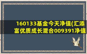 160133基金今天净值(汇添富优质成长混合009391净值)-图1