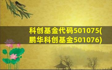 科创基金代码501075(鹏华科创基金501076)-图1