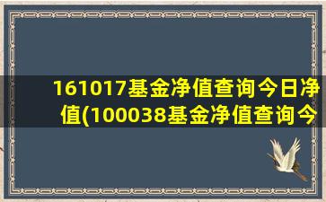 161017基金净值查询今日净值(100038基金净值查询今天最新净值)-图1