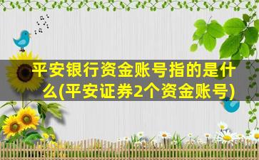 平安银行资金账号指的是什么(平安证券2个资金账号)-图1