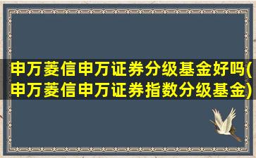 申万菱信申万证券分级基金好吗(申万菱信申万证券指数分级基金)-图1