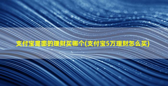 支付宝里面的理财买哪个(支付宝5万理财怎么买)-图1