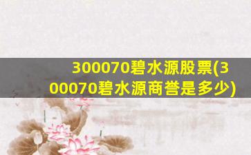 300070碧水源股票(300070碧水源商誉是多少)-图1