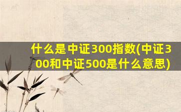 什么是中证300指数(中证300和中证500是什么意思)-图1