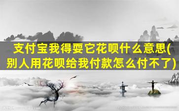 支付宝我得耍它花呗什么意思(别人用花呗给我付款怎么付不了)-图1