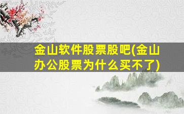 金山软件股票股吧(金山办公股票为什么买不了)-图1