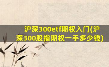 沪深300etf期权入门(沪深300股指期权一手多少钱)-图1