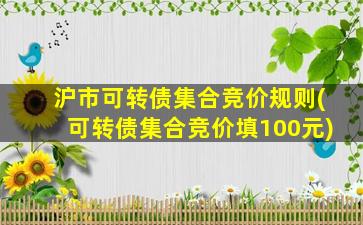 沪市可转债集合竞价规则(可转债集合竞价填100元)-图1