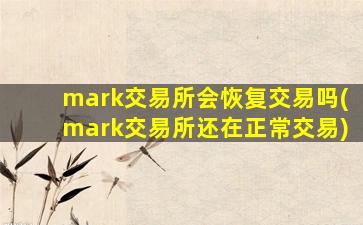 mark交易所会恢复交易吗(mark交易所还在正常交易)-图1