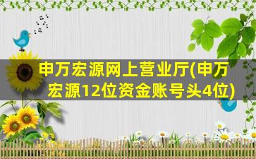 申万宏源网上营业厅(申万宏源12位资金账号头4位)-图1