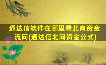 通达信软件在哪里看北向资金流向(通达信北向资金公式)-图1