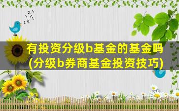 有投资分级b基金的基金吗(分级b券商基金投资技巧)-图1