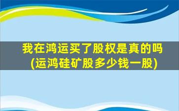 我在鸿运买了股权是真的吗(运鸿硅矿股多少钱一股)-图1