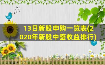 13日新股申购一览表(2020年新股中签收益排行)-图1