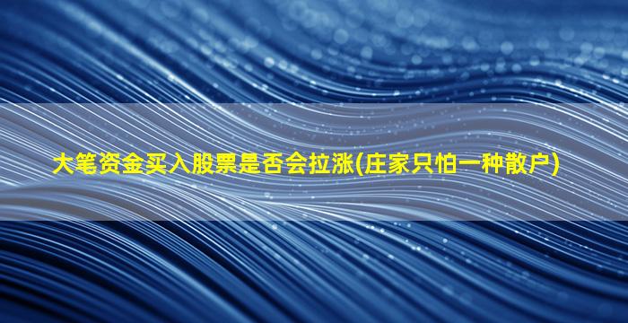 大笔资金买入股票是否会拉涨(庄家只怕一种散户)-图1