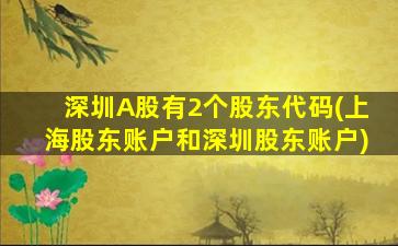 深圳A股有2个股东代码(上海股东账户和深圳股东账户)-图1