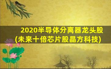 2020半导体分离器龙头股(未来十倍芯片股晶方科技)-图1