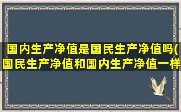 国内生产净值是国民生产净值吗(国民生产净值和国内生产净值一样吗)-图1