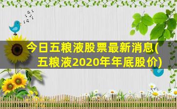 今日五粮液股票最新消息(五粮液2020年年底股价)-图1