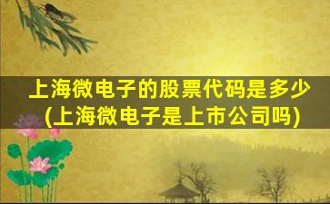 上海微电子的股票代码是多少(上海微电子是上市公司吗)-图1