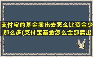 支付宝的基金卖出去怎么比资金少那么多(支付宝基金怎么全部卖出)-图1