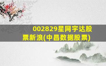 002829星网宇达股票新浪(中昌数据股票)-图1