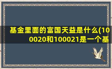 基金里面的富国天益是什么(100020和100021是一个基金吗)-图1