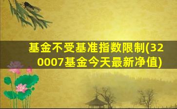 基金不受基准指数限制(320007基金今天最新净值)-图1